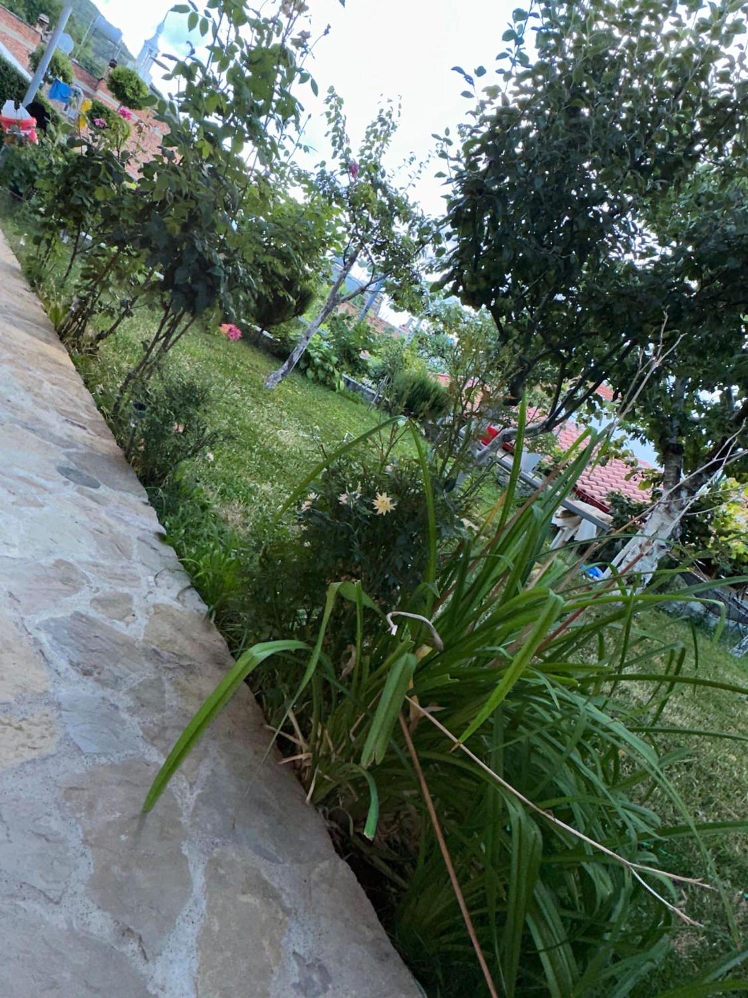 Gardenhouse Vila Mëmëlisht Exterior foto